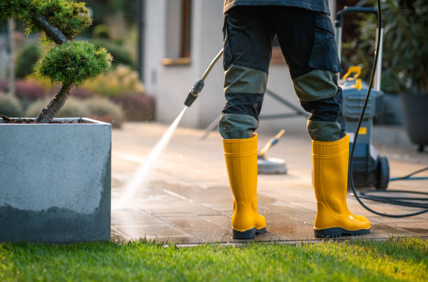 Best Affordable Power Washing  in Belvedere, SC